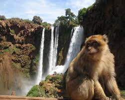 Ouzoud Waterfalls